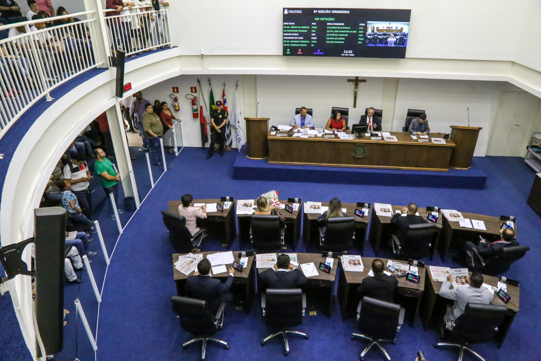 Vereadores aprovam homenageadas com medalha Laurita Ortega Mari