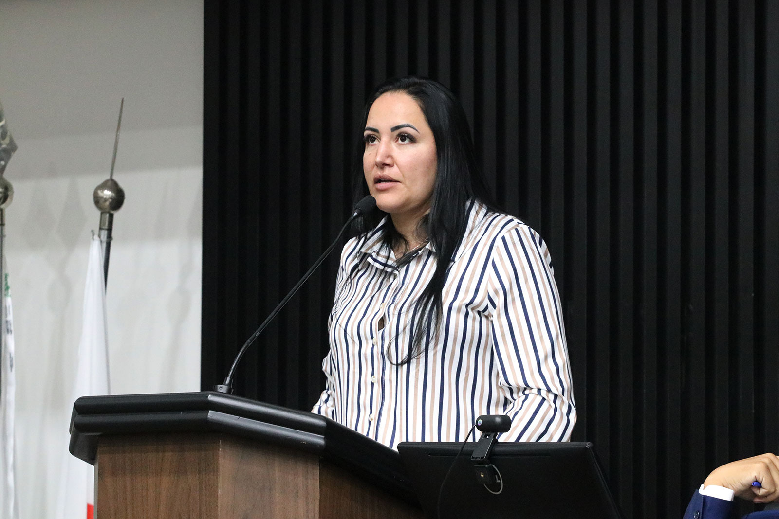 Câmara aprova criação do Programa Cultura nos Bairros